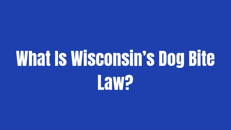 What Is Wisconsin’s Dog Bite Law?