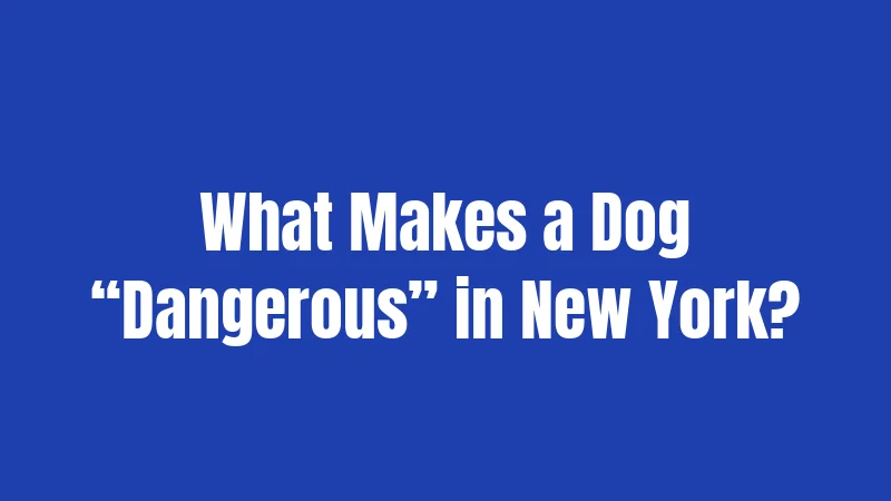 What Makes a Dog “Dangerous” in New York?