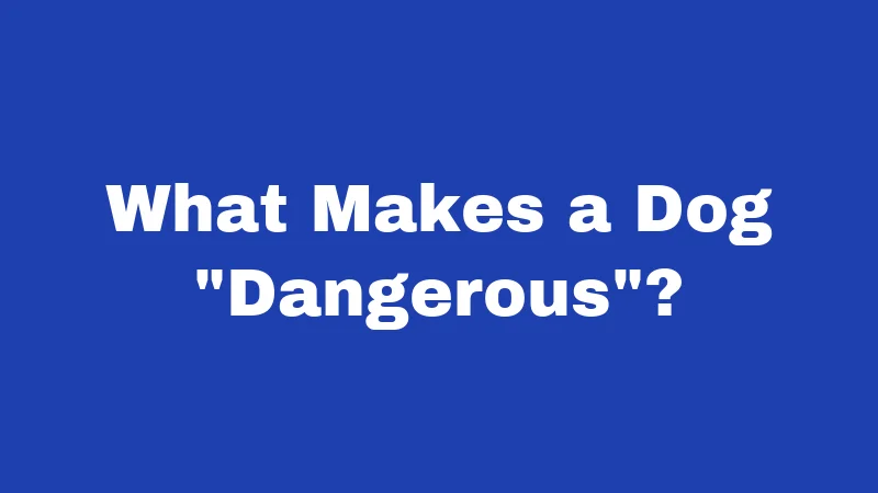 What Makes a Dog 