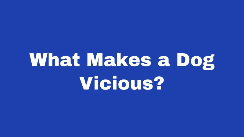 What Makes a Dog Vicious?