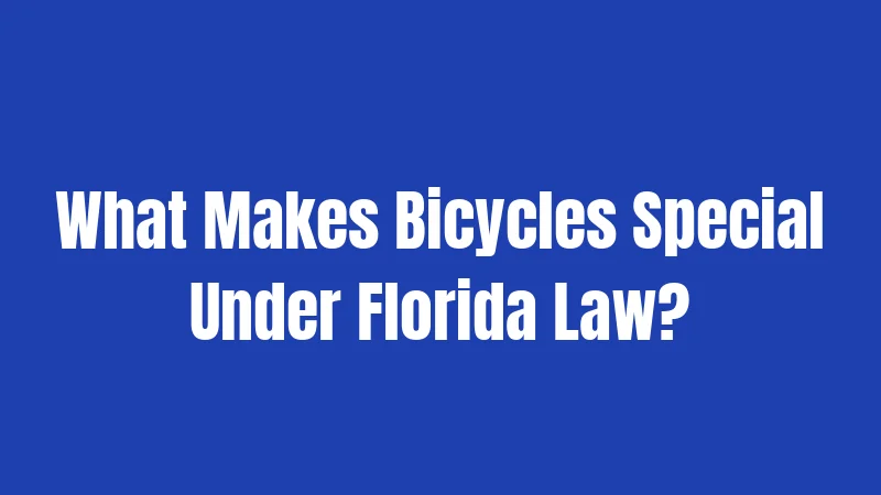 What Makes Bicycles Special Under Florida Law?