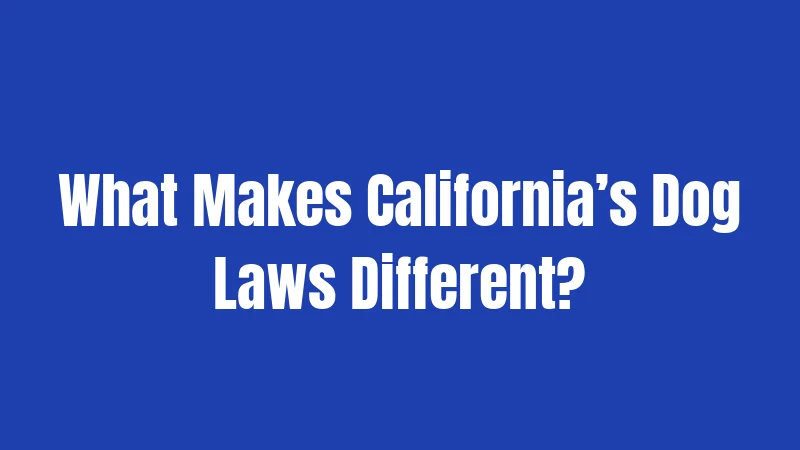 Dog Laws in California (2026): The Rules That Could Cost You 1 What Makes California’s Dog Laws Different?