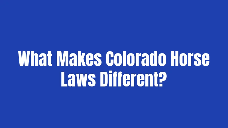 Horse Laws in Colorado (2026): Your No-Nonsense Survival Guide 1 What Makes Colorado Horse Laws Different?