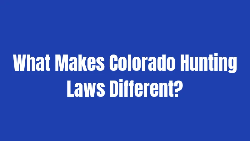 What Makes Colorado Hunting Laws Different?