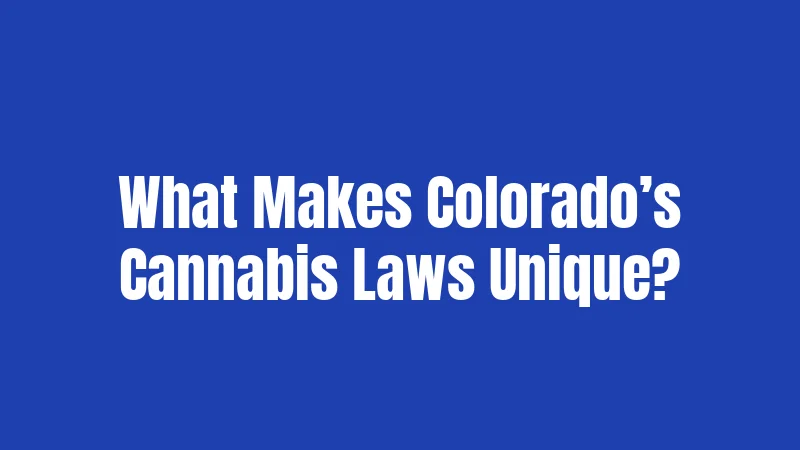 What Makes Colorado’s Cannabis Laws Unique?