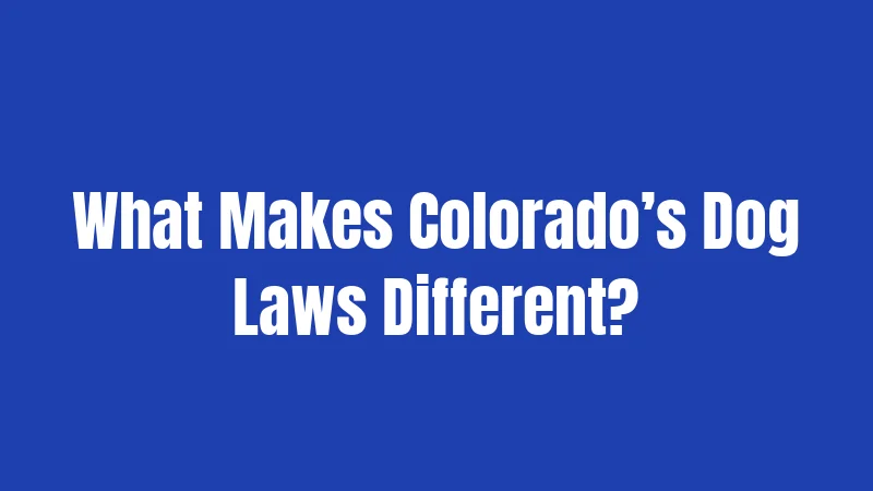 What Makes Colorado’s Dog Laws Different?