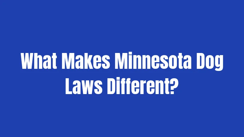 What Makes Minnesota Dog Laws Different?