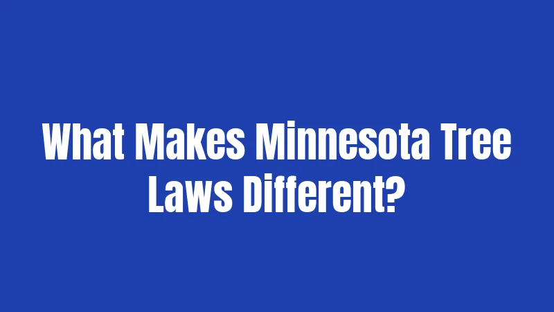 What Makes Minnesota Tree Laws Different?