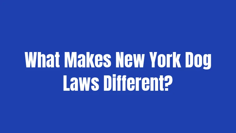 What Makes New York Dog Laws Different?