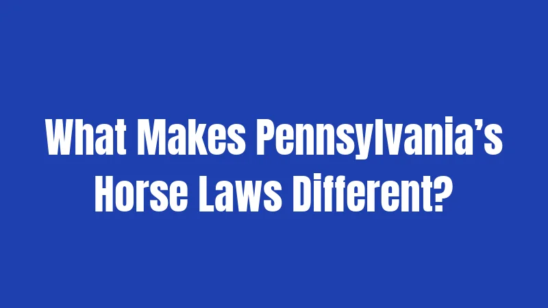 What Makes Pennsylvania’s Horse Laws Different?