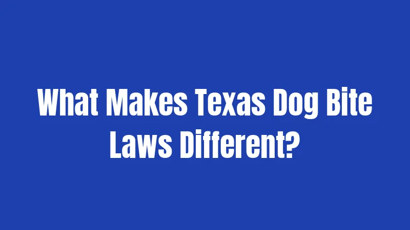 What Makes Texas Dog Bite Laws Different?