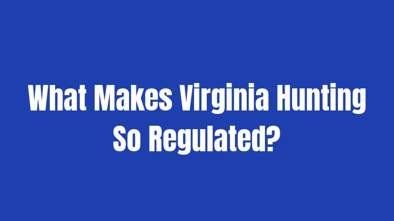 What Makes Virginia Hunting So Regulated?