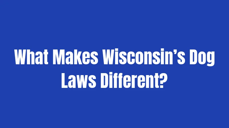 What Makes Wisconsin’s Dog Laws Different?