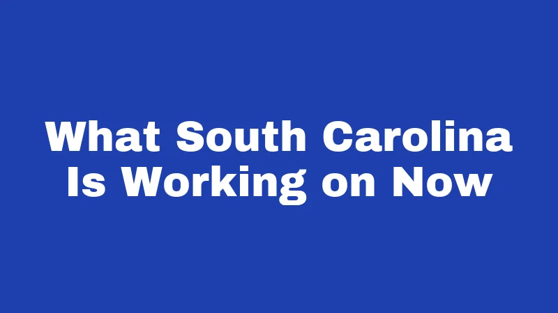 What South Carolina Is Working on Now