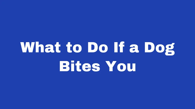 What to Do If a Dog Bites You