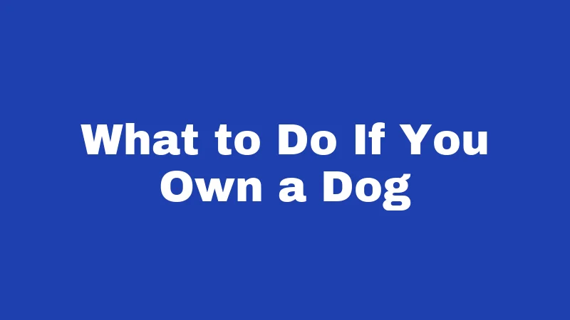 What to Do If You Own a Dog