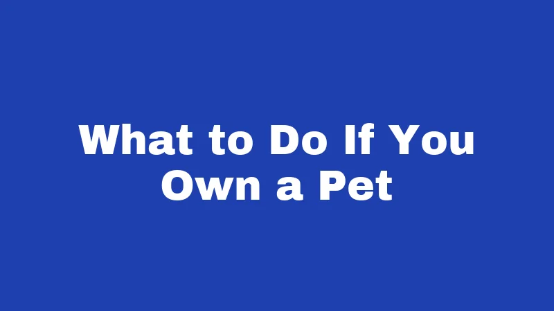Animal Abuse Laws in Utah (2026): Where Pets Meet the Law 5 What to Do If You Own a Pet