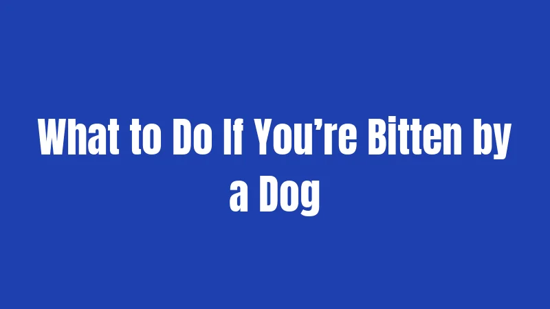 What to Do If You’re Bitten by a Dog