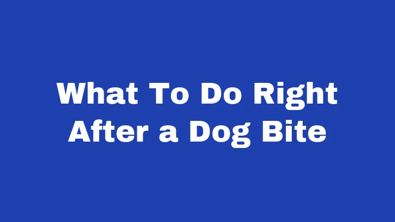Dog Bite Laws in Kansas (2026): Know Before You Go Outside 6 What To Do Right After a Dog Bite