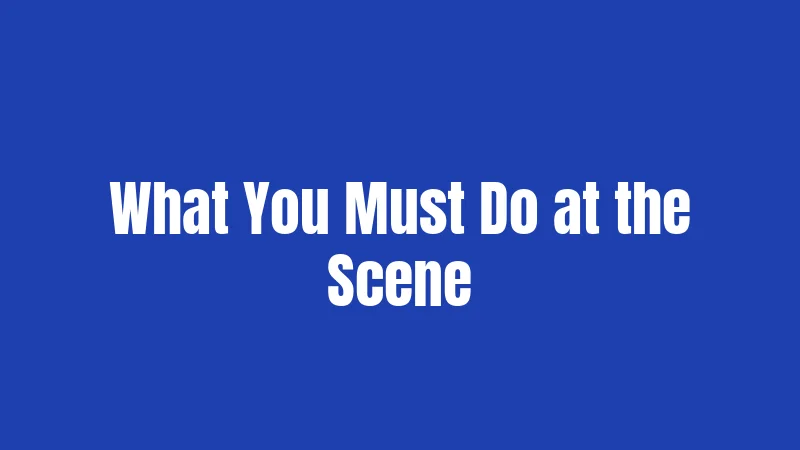 What You Must Do at the Scene