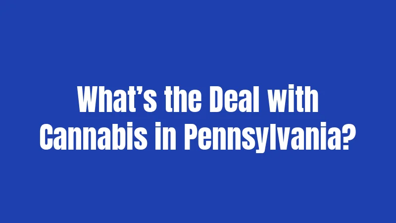 What’s the Deal with Cannabis in Pennsylvania?