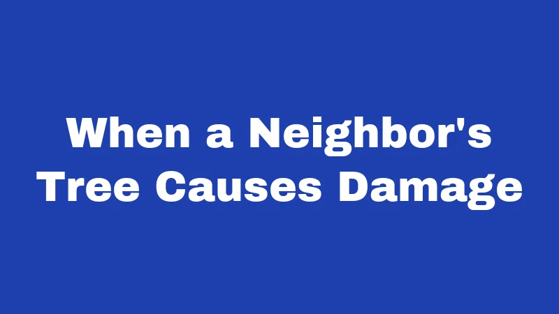 When a Neighbor's Tree Causes Damage