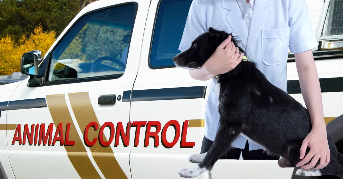 when to call animal control on a neighbor