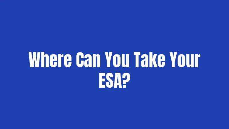 Where Can You Take Your ESA?