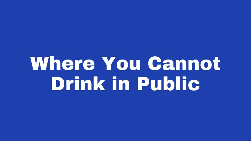 Alcohol Laws in Nevada (2026): Rules Every Visitor Must Know 4 Where You Cannot Drink in Public