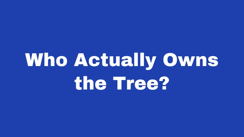Who Actually Owns the Tree?