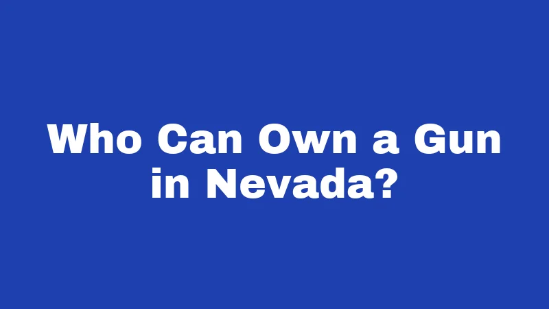 Who Can Own a Gun in Nevada?