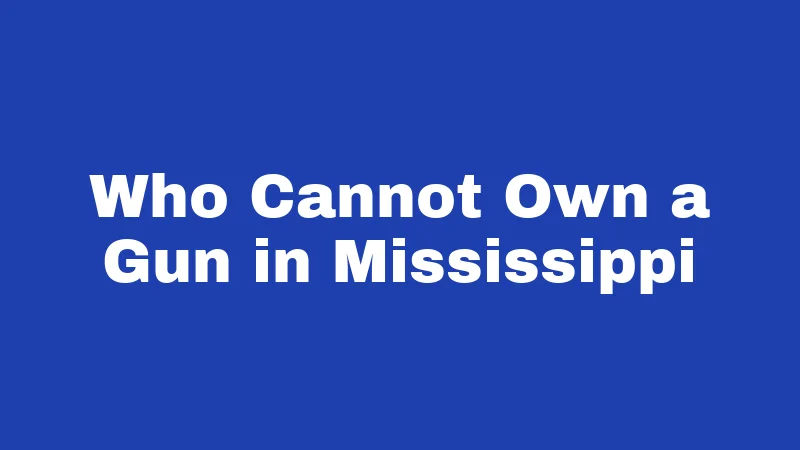 Gun Laws in Mississippi (2026): What Every Resident Must Know 3 Who Cannot Own a Gun in Mississippi