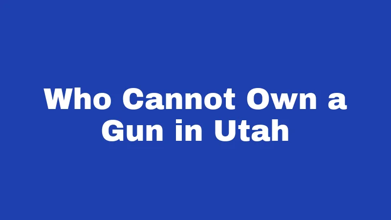 Gun Laws in Utah (2026): Your Plain-English Survival Guide 3 Who Cannot Own a Gun in Utah