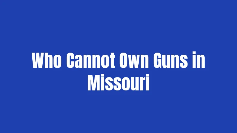 Who Cannot Own Guns in Missouri