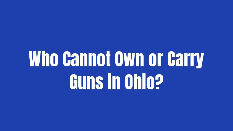 Who Cannot Own or Carry Guns in Ohio?