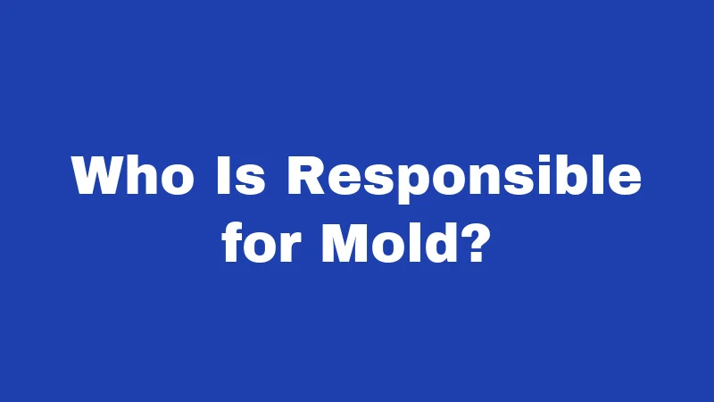 Mold Laws in Nebraska (2026): What Renters Often Miss 1 Who Is Responsible for Mold?
