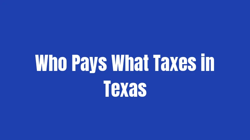 Who Pays What Taxes in Texas