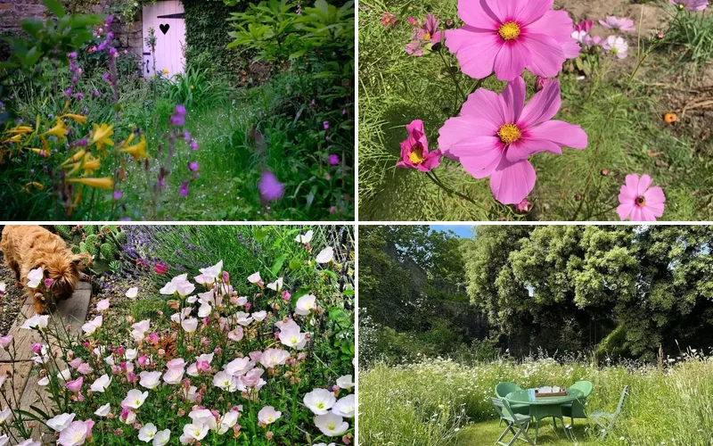 15 Stunning Wildflower Garden Designs to Transform Your Backyard Into a Natural Paradise wildflower garden ideas featured