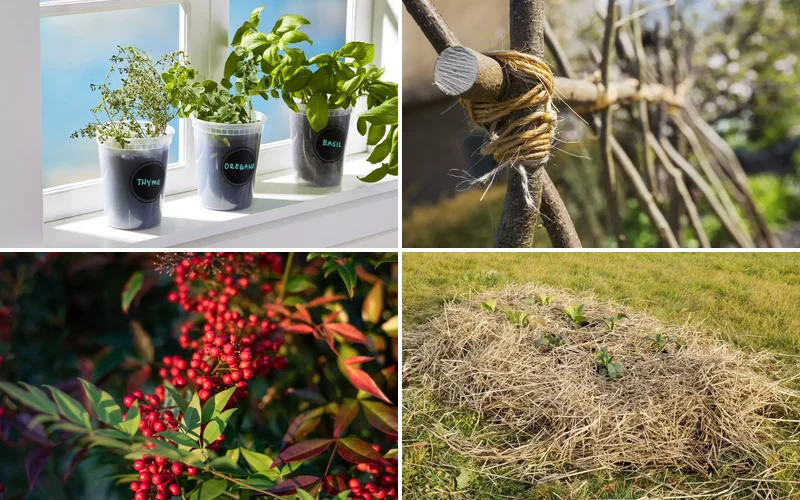 22 Cold-Season Garden Projects That Will Transform Your Outdoor Space This Winter