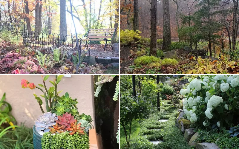 12 Water-Smart Landscaping Ideas for Your Home xeriscape garden ideas featured