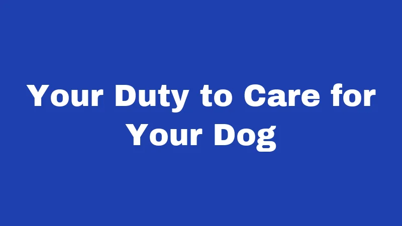 Dog Laws in Louisiana (2026): Rules Every Owner Must Follow 3 Your Duty to Care for Your Dog