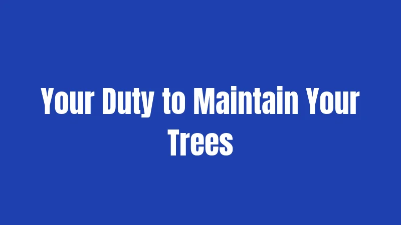 Tree Laws in Indiana (2026): Your Rights, Your Yard, Your Rules 3 Your Duty to Maintain Your Trees