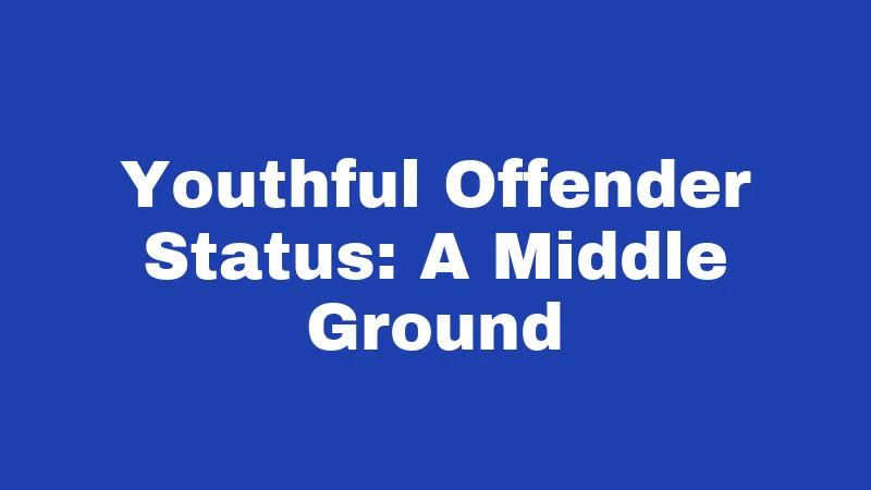 Youthful Offender Status: A Middle Ground